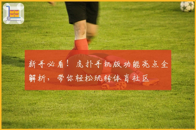 新手必看!虎扑手机版功能亮点全解析,带你轻松玩转体育社区