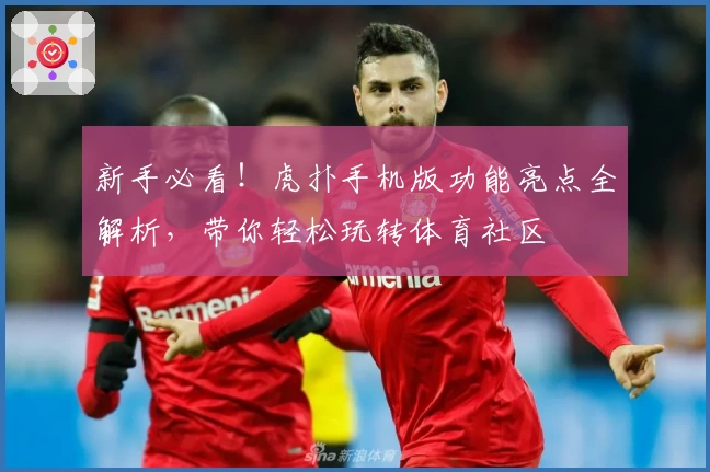 新手必看！虎扑手机版功能亮点全解析，带你轻松玩转体育社区